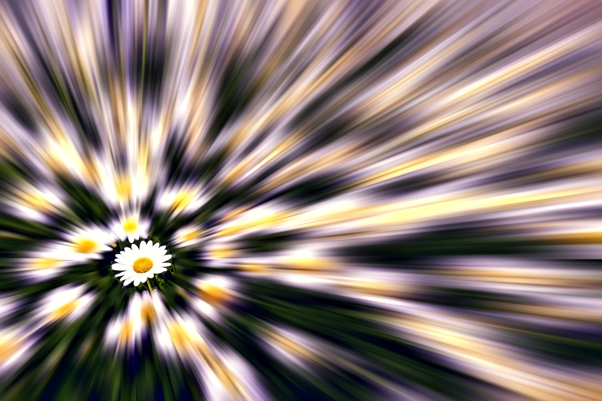 Ein zartes Gänseblümchen steht inmitten eines Lichtstrudels – Symbol für innere Klarheit, die durch Hypnose mitten im Chaos der Gedanken sichtbar wird